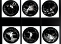 Zodiac Stickers